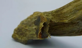 沉香吃瓜爆料视频大全最新,吃瓜爆料视频大全，带你领略神秘沉香世界